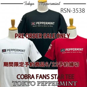 RSW-3538